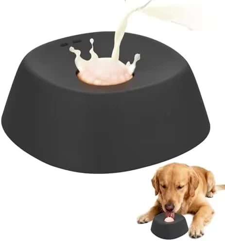 Anti-Choking Slow Feeder Dog Bowl