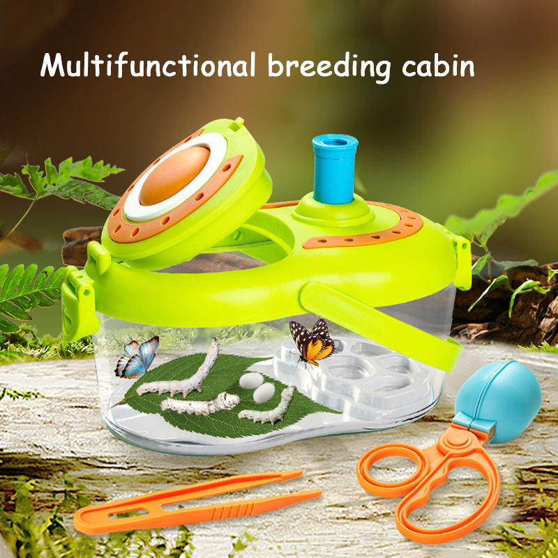 Portable Insect Observer Box
