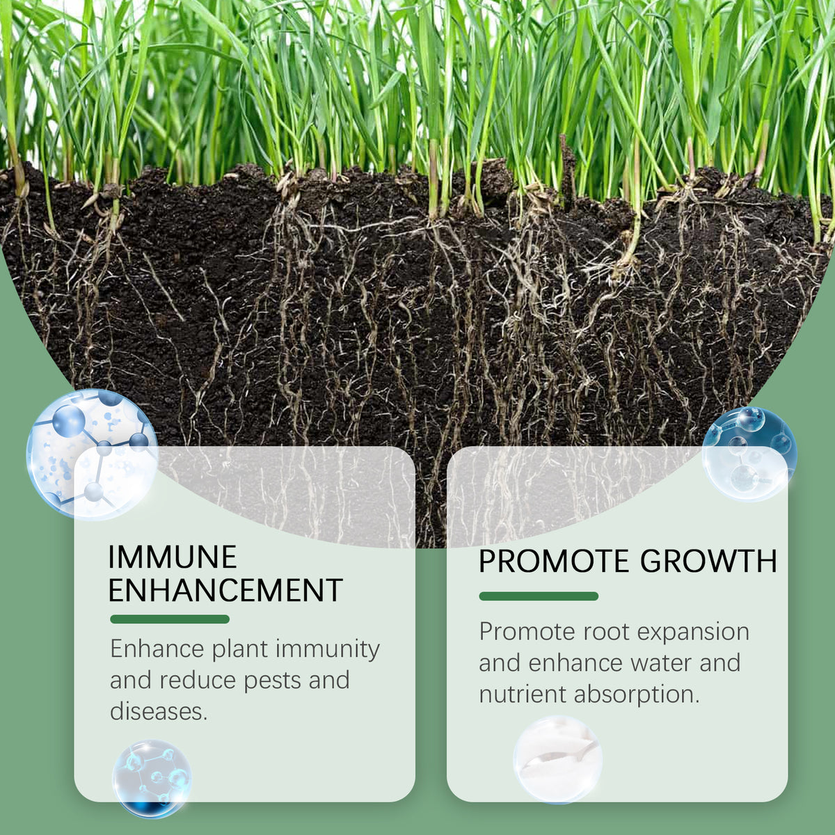 MoonSpry Plant Root Powder Is A Nutrient Supplement To Improve The Rooting And Seedling Strength Of Soil Green Plants And Flowers